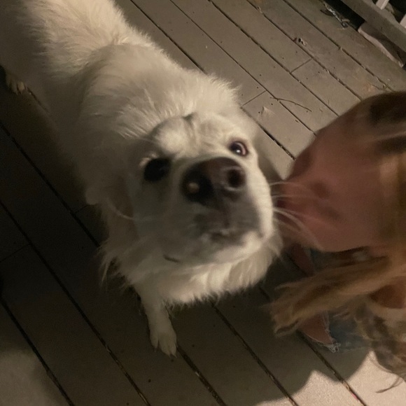 Meet your Posher, Megan - Picture 2 of 2